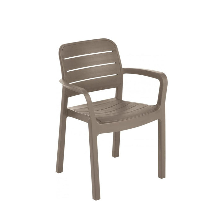 Tisara Chair (4 Colours)