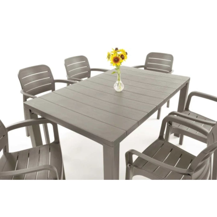 Tisara Chair (4 Colours)