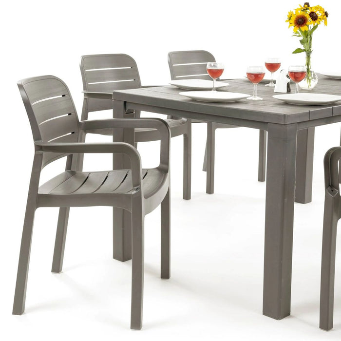 Tisara Chair (4 Colours)