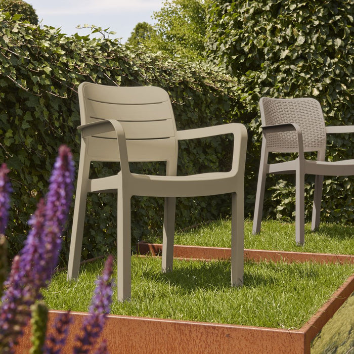 Tisara Chair (4 Colours)