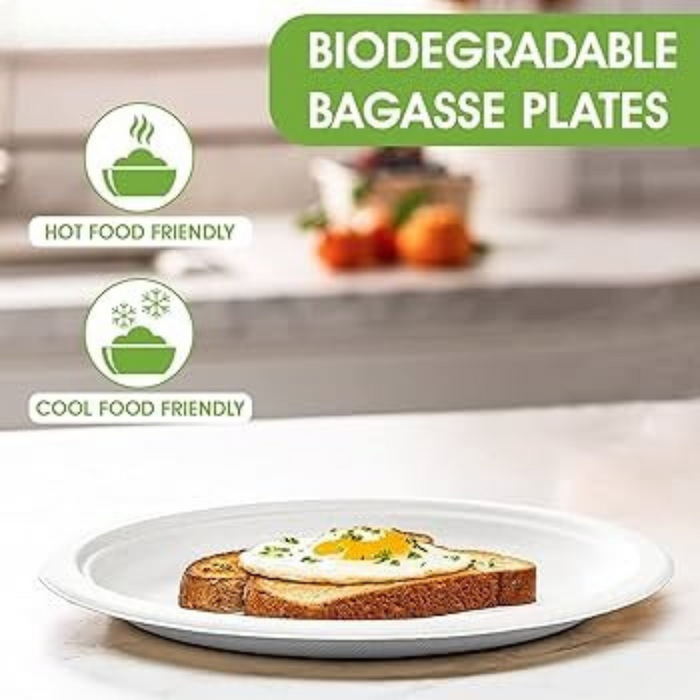 Simply Party Disposable Sugarcane Fiber Partyware 100% Biodegradable |  Eco Friendly