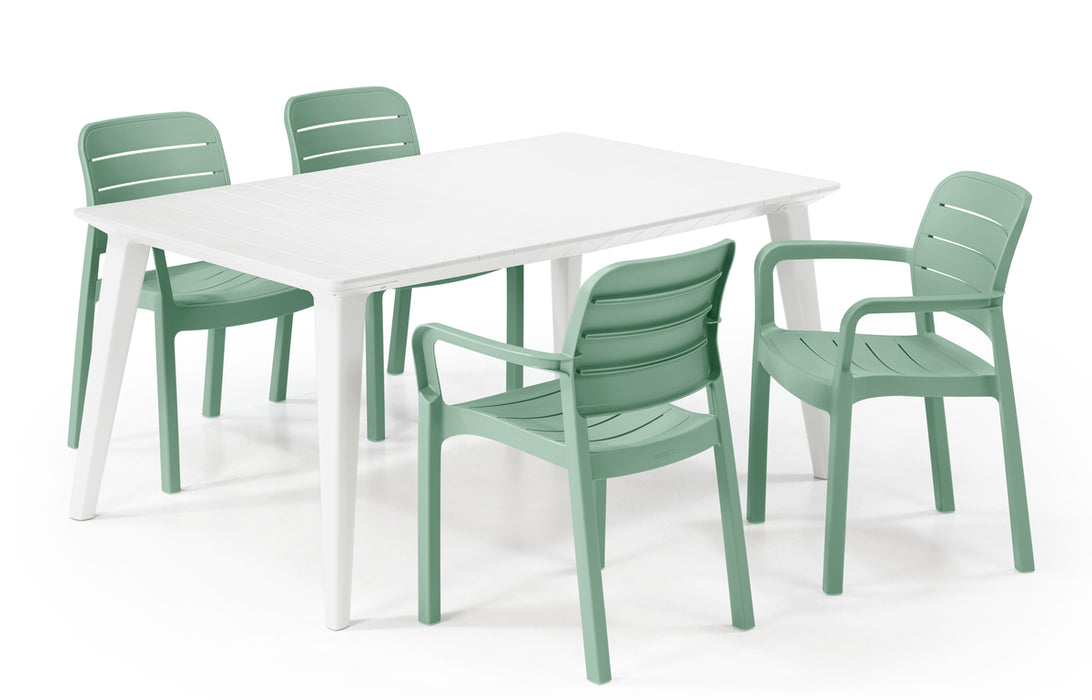 Tisara Chair (4 Colours)
