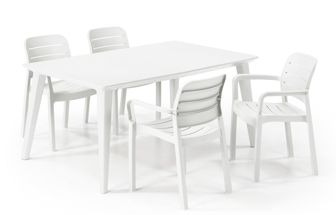 Tisara Chair (4 Colours)