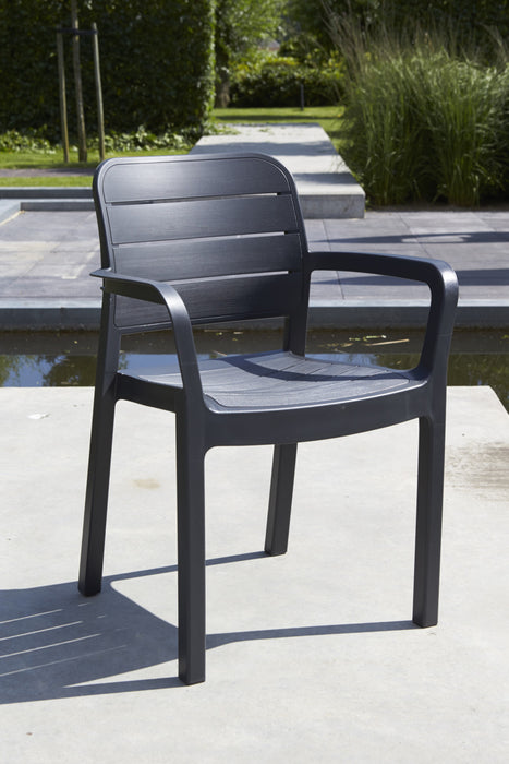 Tisara Chair (4 Colours)