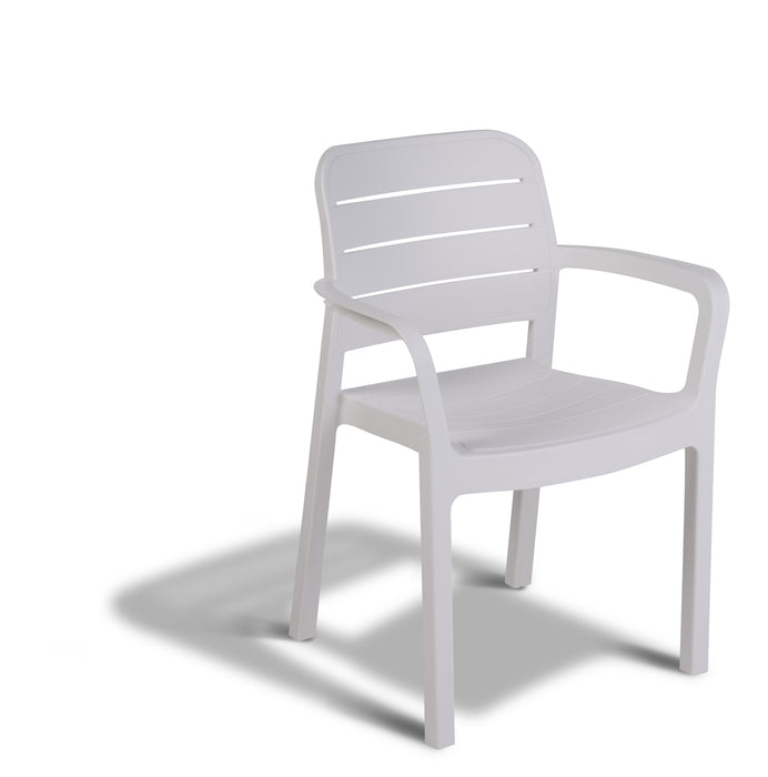 Tisara Chair (4 Colours)