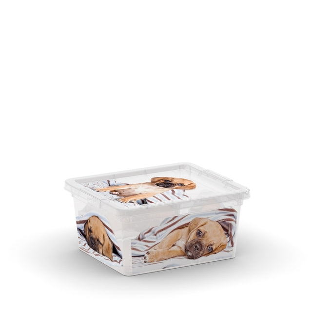 C Box Style Puppy & Kitten XXS to XL (OLD)