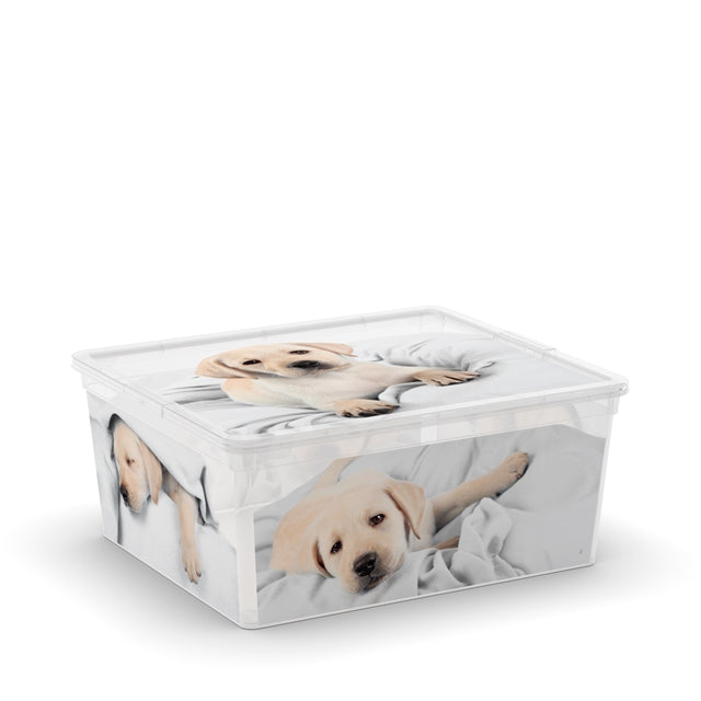 C Box Style Puppy & Kitten XXS to XL (OLD)