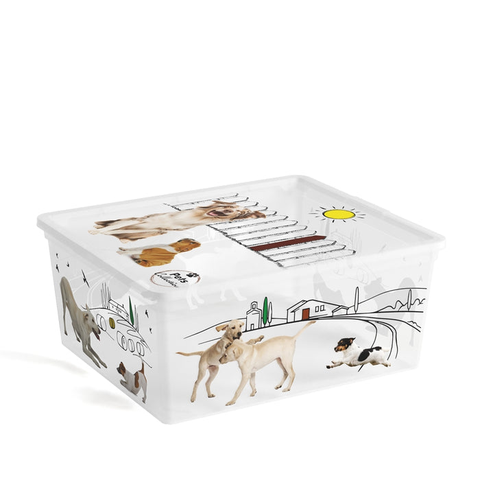 C Box Style Puppy Box + Lid M