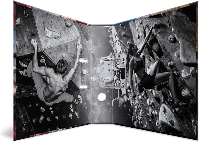 HERMA A4 Ring Arch File Boulder 20106