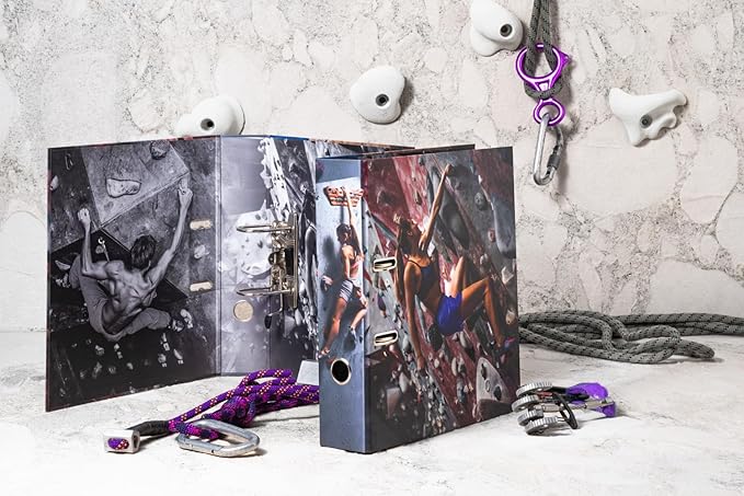 HERMA A4 Ring Arch File Boulder 20106