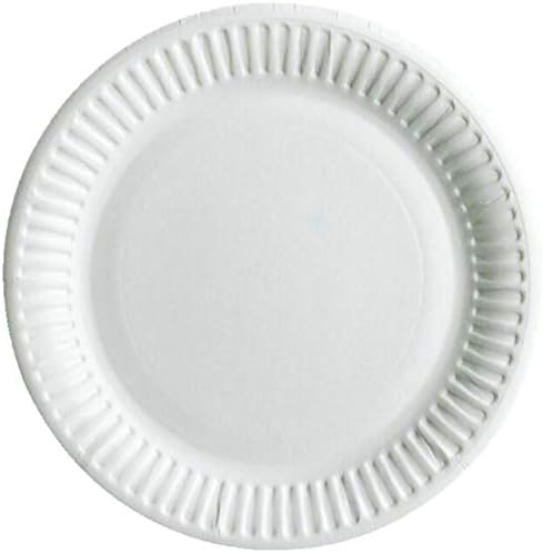 Bulk buy 2025 paper plates