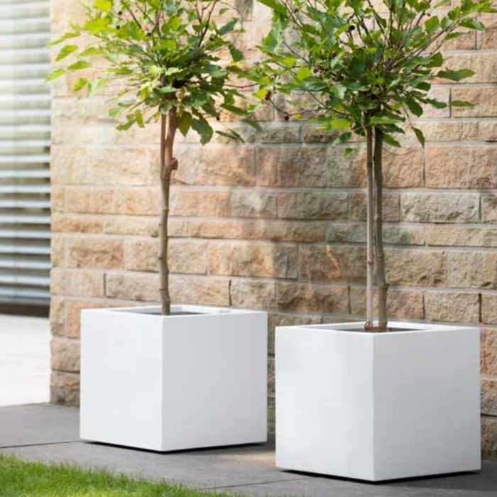 Alicante Square Planter Smooth White (3 Sizes)