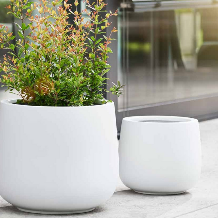 Auckland Planter Pot Smooth White  (2 Sizes)