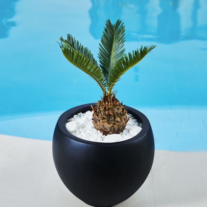 Hamilton Round Planter Pot Matt Black (3 Sizes)