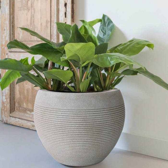 Oslo Planter Light Concrete (3 Sizes)