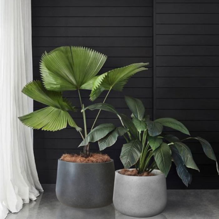 Auckland Planter Pot Smooth White  (2 Sizes)