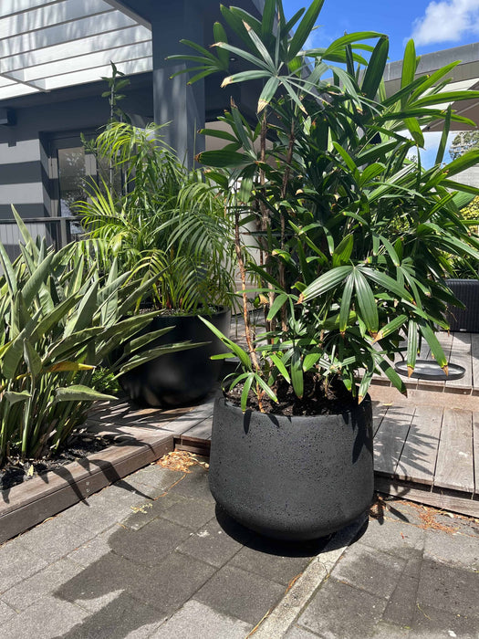 Auckland Planter Pot Matt Black  (2 Sizes)