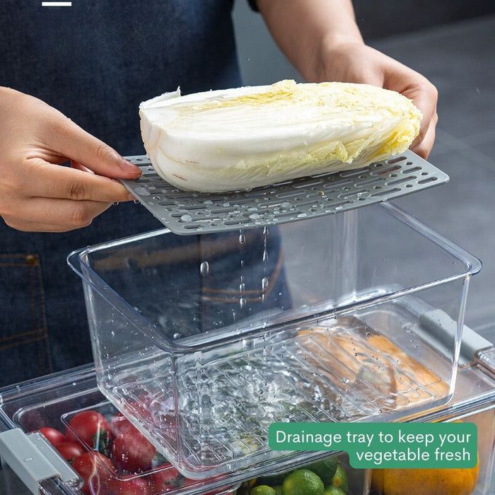 TerraFresh Fresh Keeper Food Storage Box With lid and divider Fridge ...