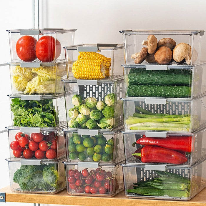TerraFresh Fresh Keeper Food Storage Box With lid and divider Fridge ...