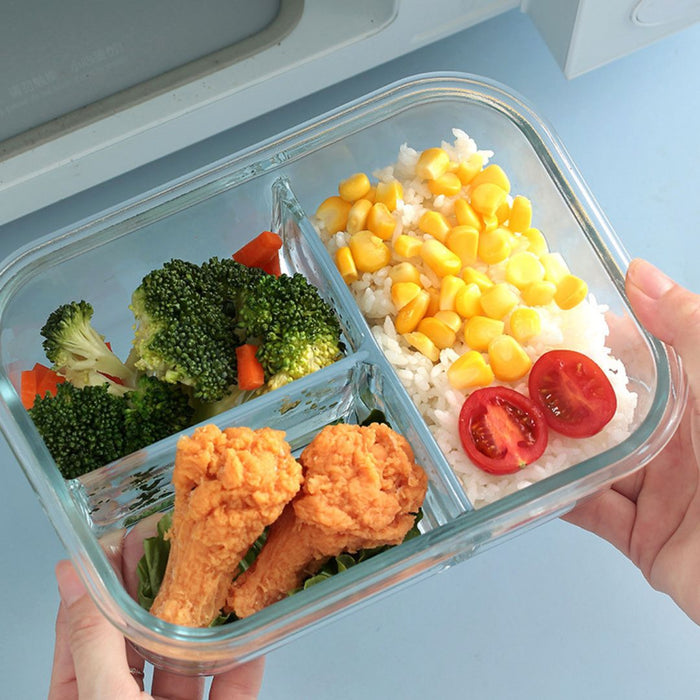 TerraFresh Glass Lock Divided Rectangle Glass Food Container