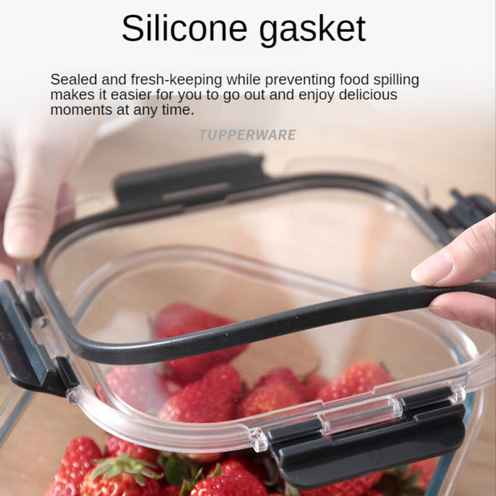 TerraFresh Glass Lock Divide Rectangle Glass Food Container with lid ...