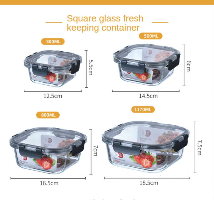 TerraFresh Glass Lock Square Glass Food Container