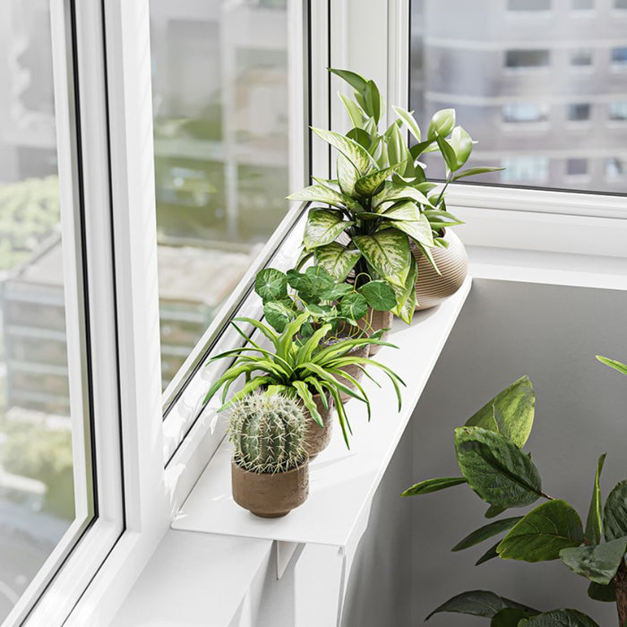 Window Sill Bathroom Ledge Extension Board 40 x 15 cm — The Home Shoppe