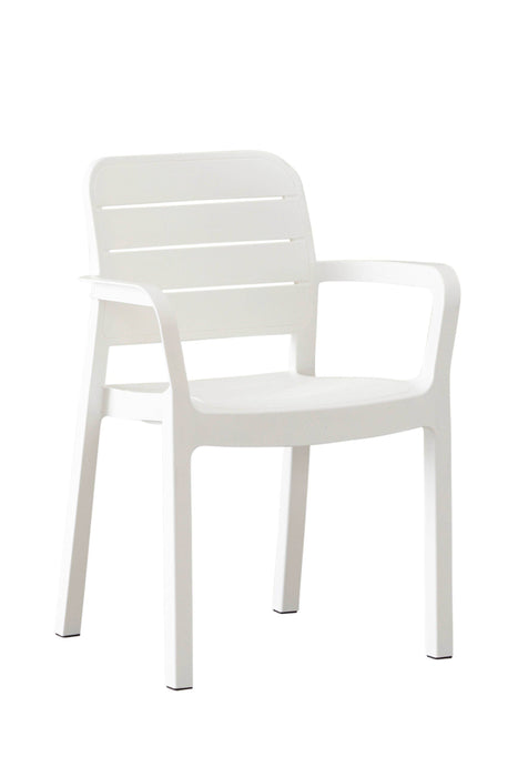 Tisara Chair (4 Colours)
