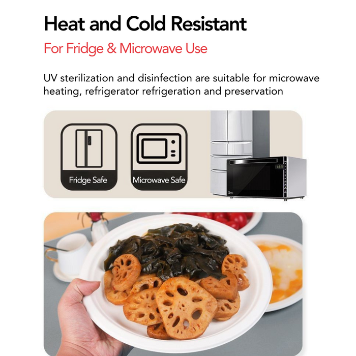 ECO Corn Starch: Spoon 170mm Biodegradable - 20pcs