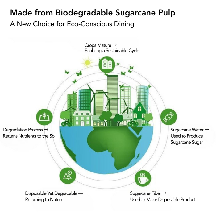 Simply Party Disposable Sugarcane Fiber Partyware 100% Biodegradable |  Eco Friendly