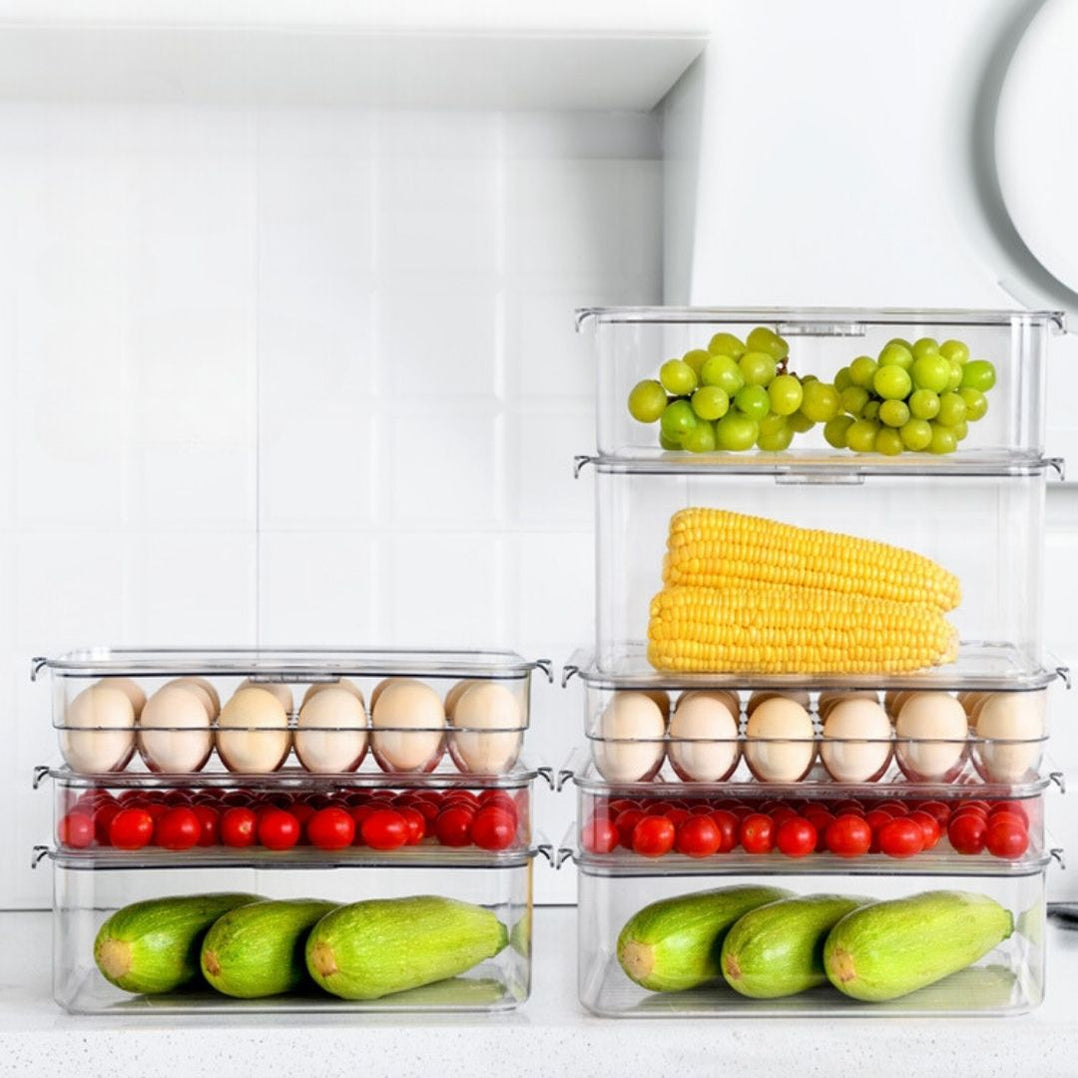 TerraFresh Fridge Stack Refrigerator Storage Box Fresh Food Fridge ...