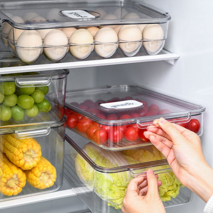 TerraFresh Fridge Stack Refrigerator Storage Box Fresh Food Fridge ...