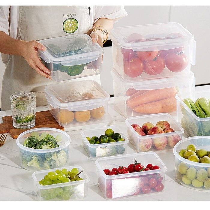 TerraFresh Lock It Rectangle Plastic Food Container