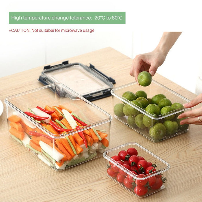 TerraFresh Snap Fresh Rectangle Food Container