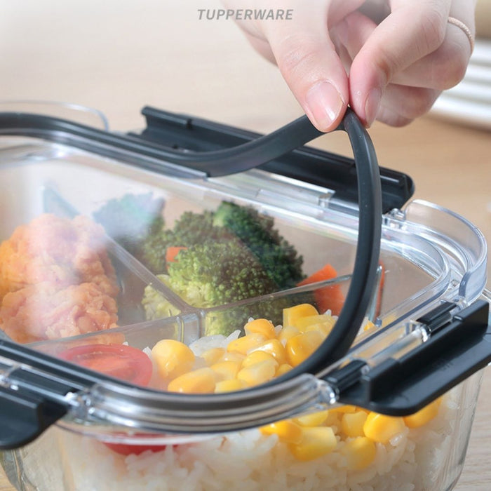 TerraFresh Snap Fresh Rectangle Food Container
