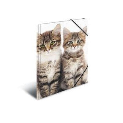 A4 Elasticated Folder Cats — The Home Shoppe