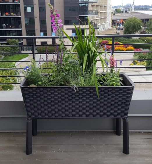 keter easy growing plant pot Keter Easy Grow Garden Patio Planter with legs 120L FREE DELIVERY — The Home Shoppe