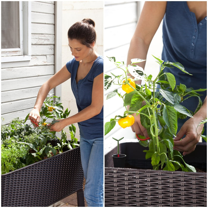 keter easy growing plant pot Keter Easy Grow Garden Patio Planter with legs 120L FREE DELIVERY — The Home Shoppe
