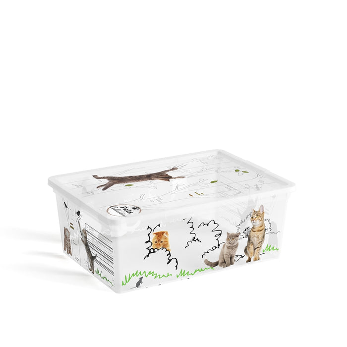 C Box Style Kitten Box + Lid S