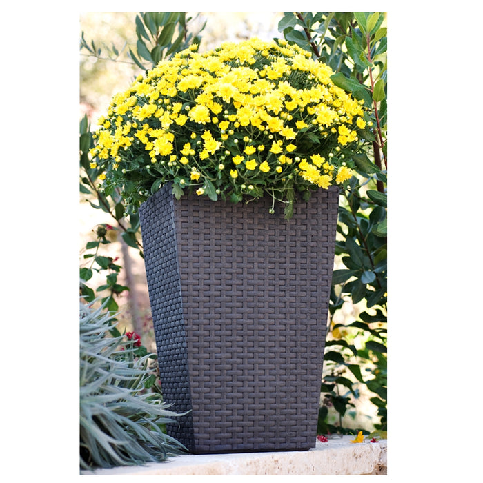 Medium Rattan Planter Grey