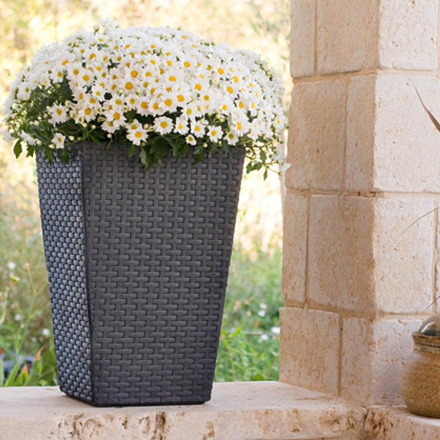 Keter Medium Rattan Planter Flower Pot Grey — The Home Shoppe